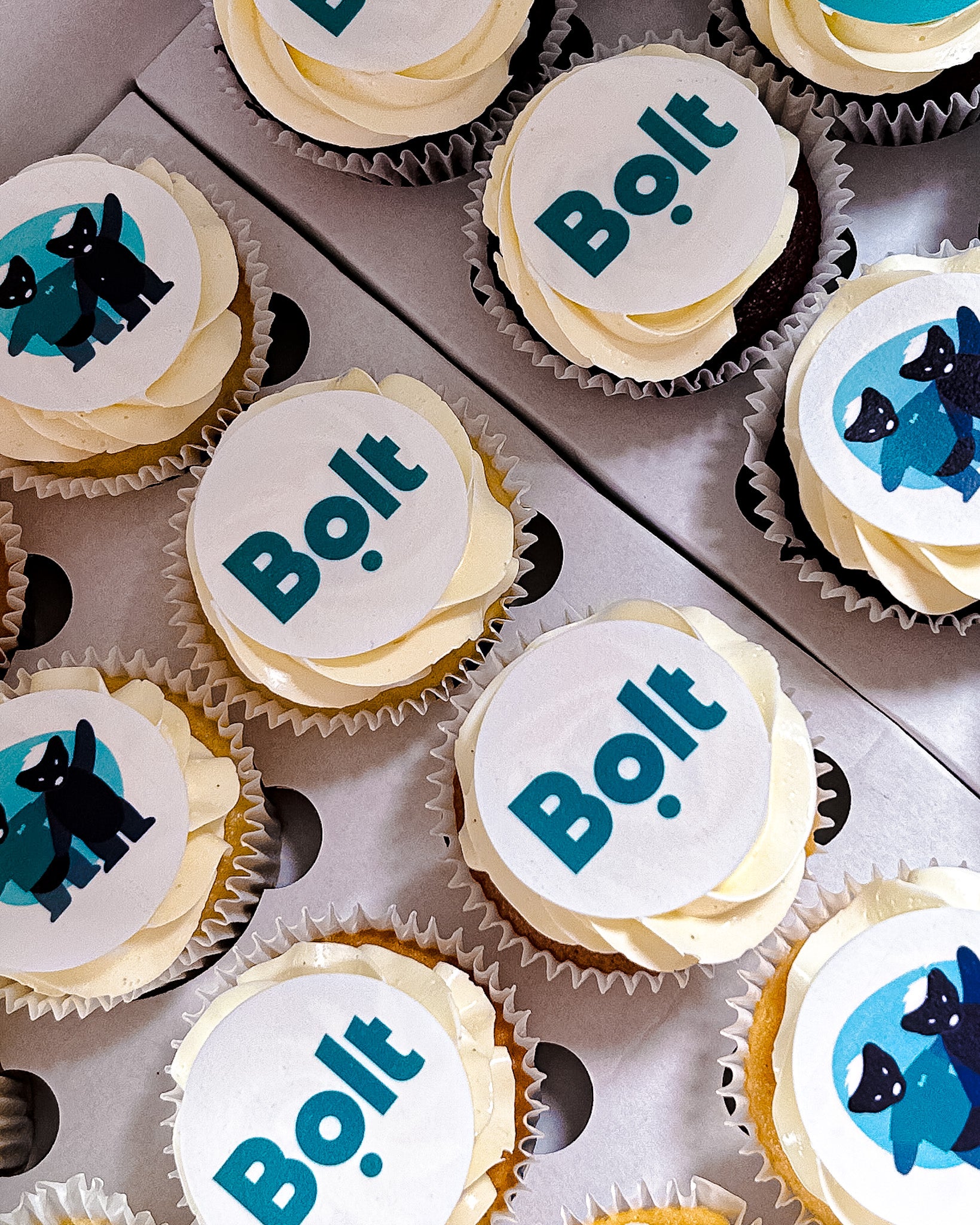 Cupcakes with 'Bolt' branding and a hedgehog illustration on a tray.