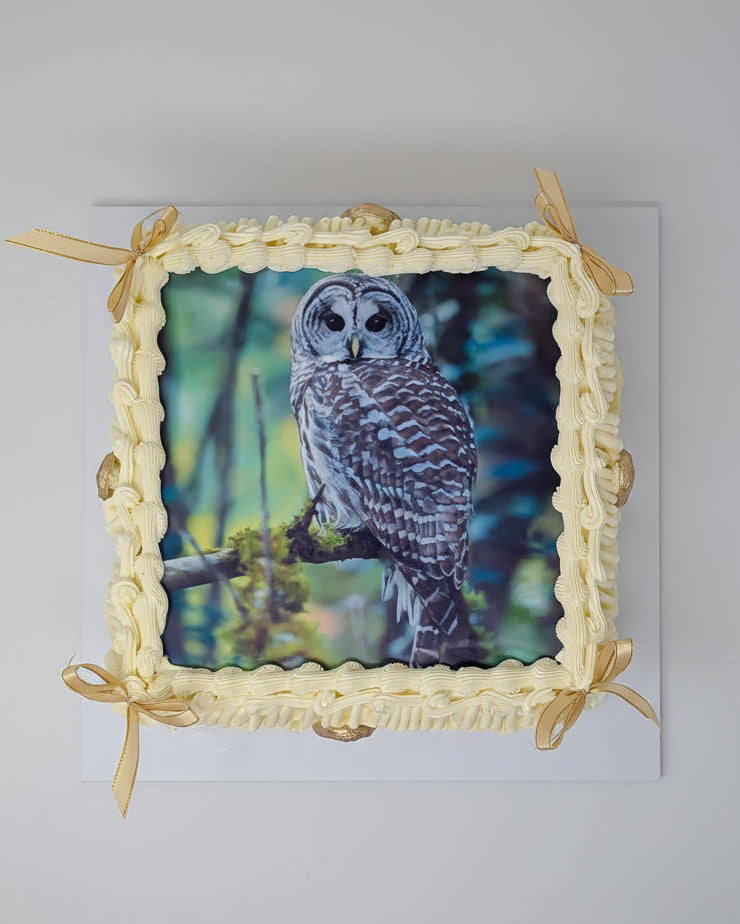 Edible picture of an owl on a cream Lambeth-style cake