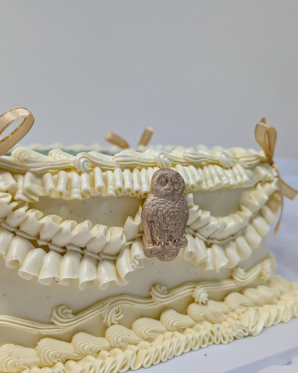 Owl Cake London | Lambeth Nature Photo Cake