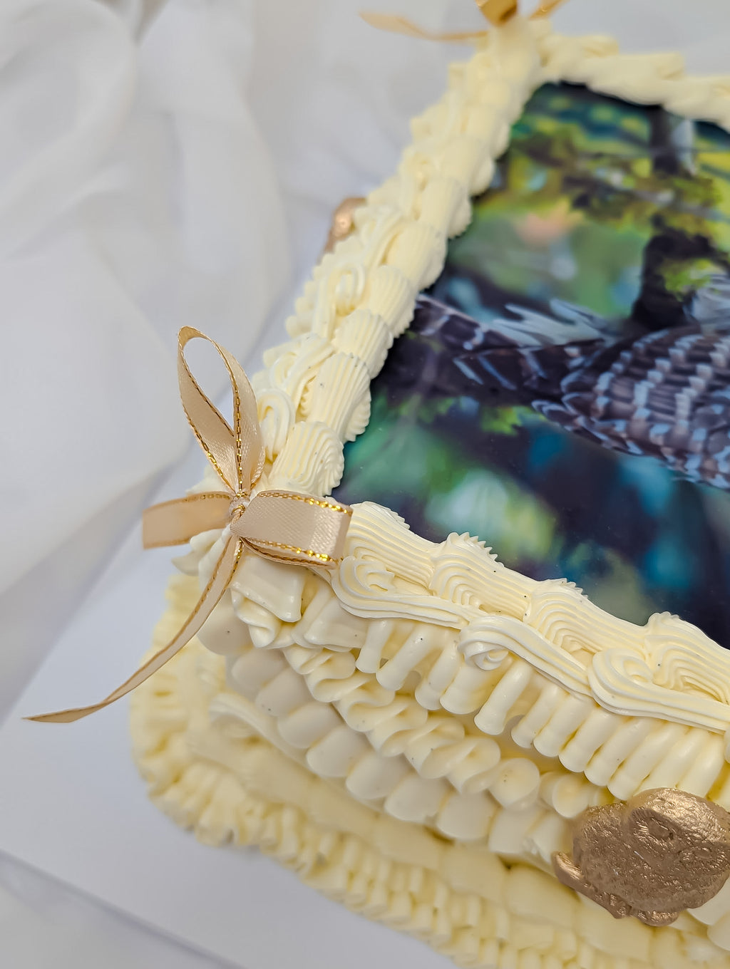 Owl Cake London | Lambeth Nature Photo Cake